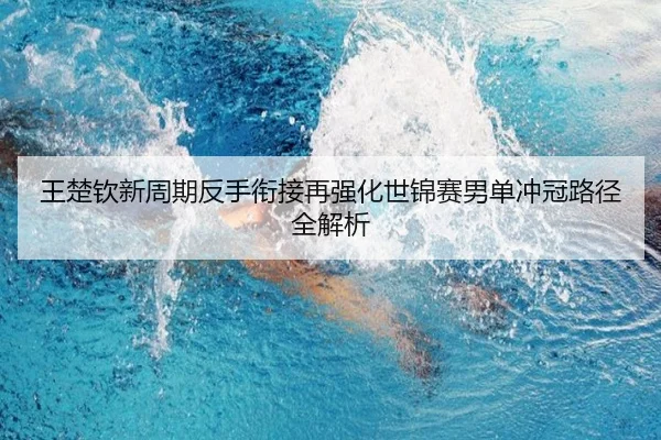 王楚钦新周期反手衔接再强化世锦赛男单冲冠路径全解析